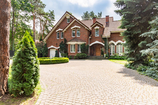 Best Driveway Paving Contractor  in Noel, MO