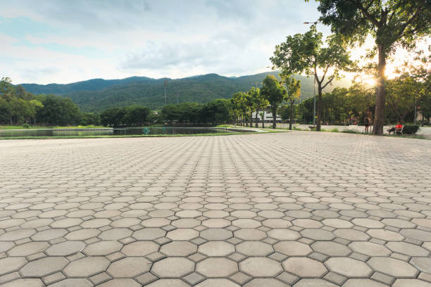 Best Driveway Repair Near Me  in Noel, MO